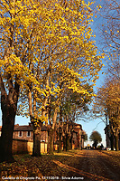 Castello di Chignolo - Viale