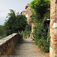 Tranquillita' quotidiana - Fiori