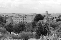 Pietre in bianco e nero - Panorama del centro storico