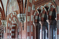Chiaravalle della Colomba - Sala capitolare