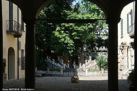 Aspettando il piroscafo - Scorcio di un giardino