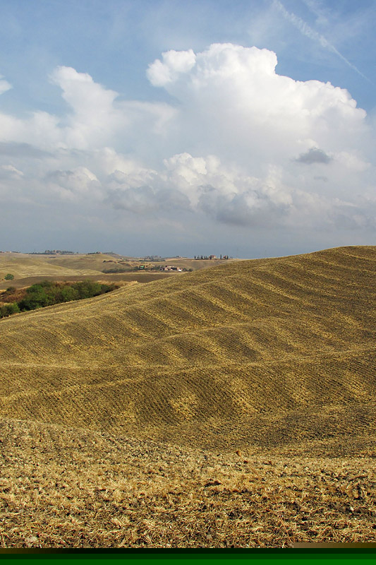 Crete senesi - Dolci ondulazioni