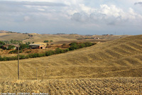 Crete senesi - Morbidi pendii