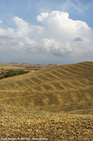 Crete senesi - Dolci ondulazioni