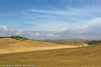 Crete senesi - Paesaggio ocra