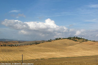 Crete senesi - Poderi isolati