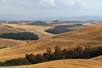 Crete senesi - Disegni sulle colline