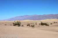 Death Valley - Dune di sabbia