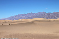 Cartoline - Dune di sabbia
