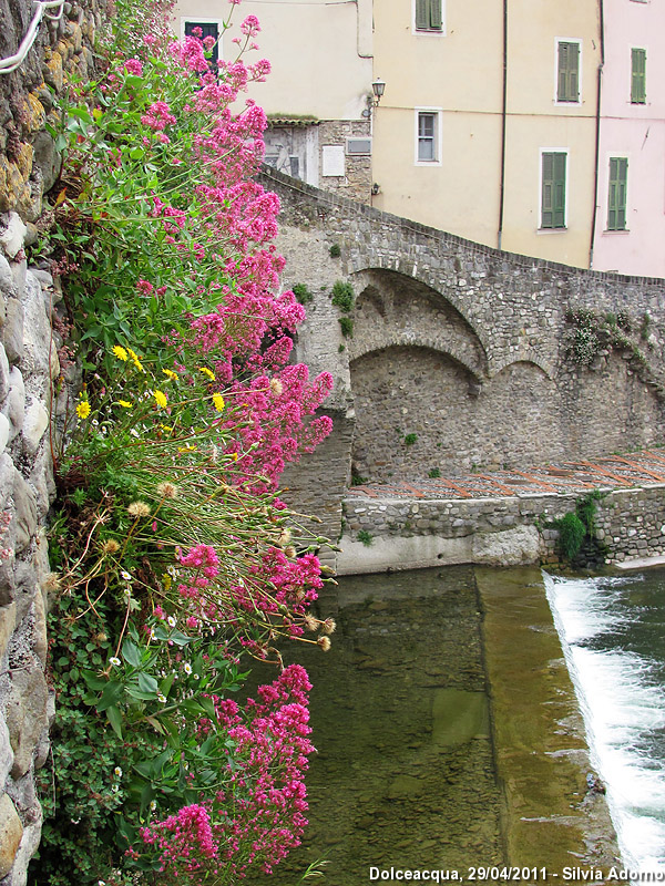 Dolceacqua - Pietre e fiori