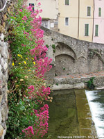 Dolceacqua - Pietre e fiori