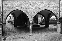 Pietre in bianco e nero - Pigna