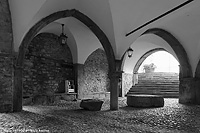 Pietre in bianco e nero - Pigna