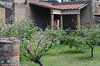 Scorci di vita quotidiana - Casa dell'albergo