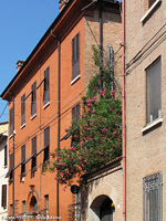 Per le vie - Fiori, intonaco e mattoni
