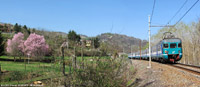 Tra Appennino e Monferrato - Visone