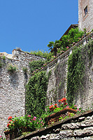 Pietre medievali - Fiori e pietre