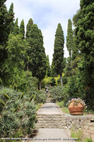 Giardini botanici Hanbury - Viale Vista Nuova