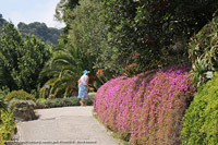 Giardini botanici Hanbury - Come una lady