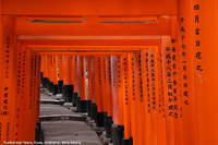 Santuari shintoisti - Fushimi Inari Taisha