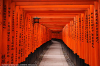 Santuari shintoisti - Fushimi Inari Taisha