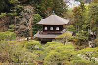 Templi buddisti - Ginkaku-ji