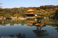 Templi buddisti - Kinkaku-ji