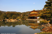 Il fascino dell'Oriente - Kinkaku-ji