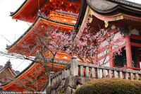 Templi buddisti - Kiyomizu-dera