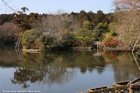 Templi buddisti - Ryoan-ji