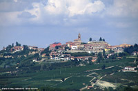La bassa Langa - Diano d'Alba