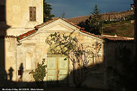 La bassa Langa - Monforte d'Alba