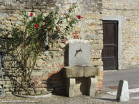 L'alta Langa - Murazzano