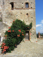 La bassa Langa - Serralunga d'Alba