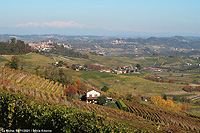 Colori tra le vigne - La Morra