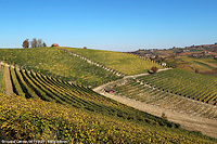 Colori tra le vigne - Grinzane Cavour