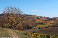 Colori tra le vigne - Grinzane Cavour