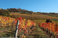 Colori tra le vigne - Grinzane Cavour