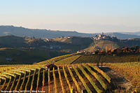 Colori tra le vigne - Serralunga d'Alba