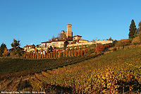 Colori tra le vigne - Serralunga d'Alba