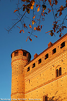 Colori tra le vigne - Serralunga d'Alba