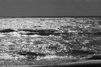 In bianco e nero - Mare scintillante