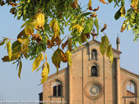 Dettagli speciali - Assaggio d'autunno