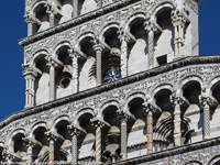 Le chiese - San Michele in Foro