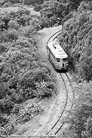 In viaggio nel tempo - Fichi d'India