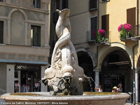 Tra Medioevo e Rinascimento - Fontana dei Delfini