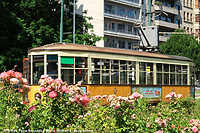Di fiori e di estate - Piazza della Repubblica