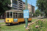 Di fiori e di estate - Piazza della Repubblica