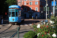 Estate e tram - Fiori