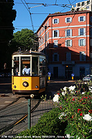 Estate e tram - Fiori